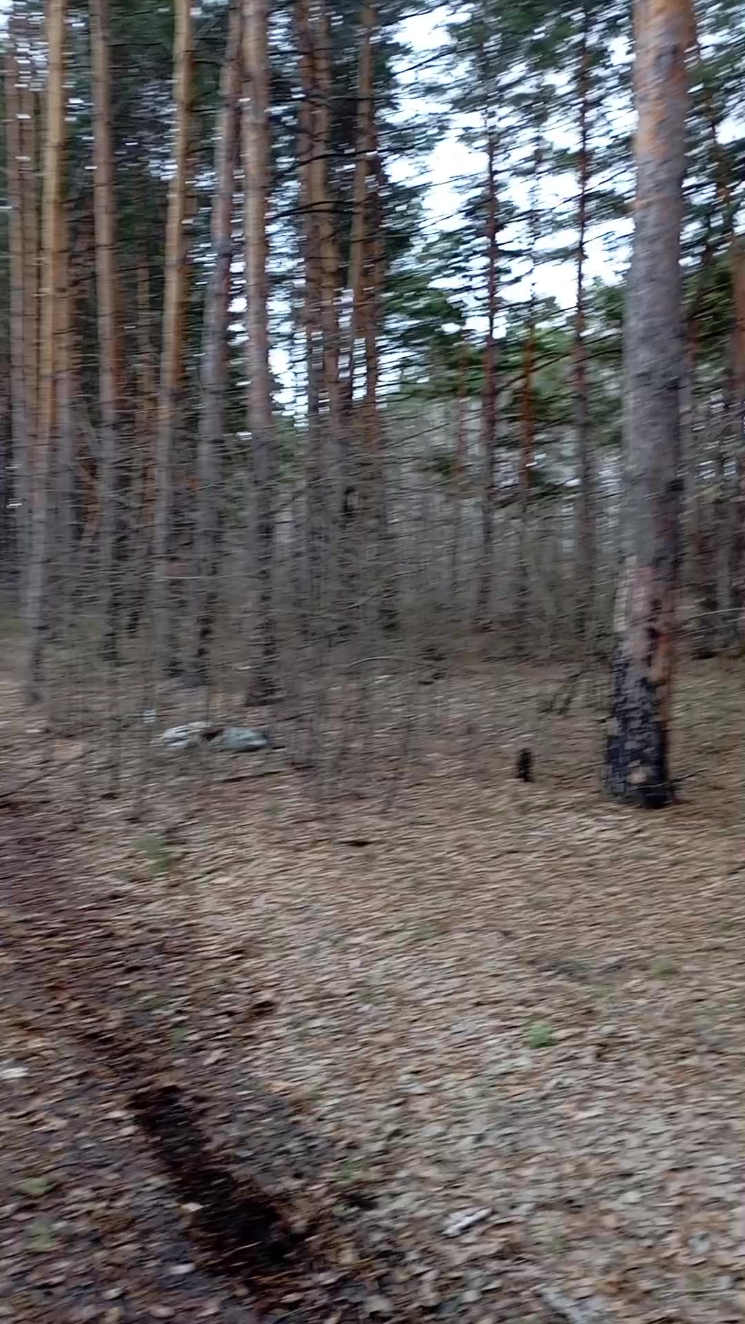 @Николай