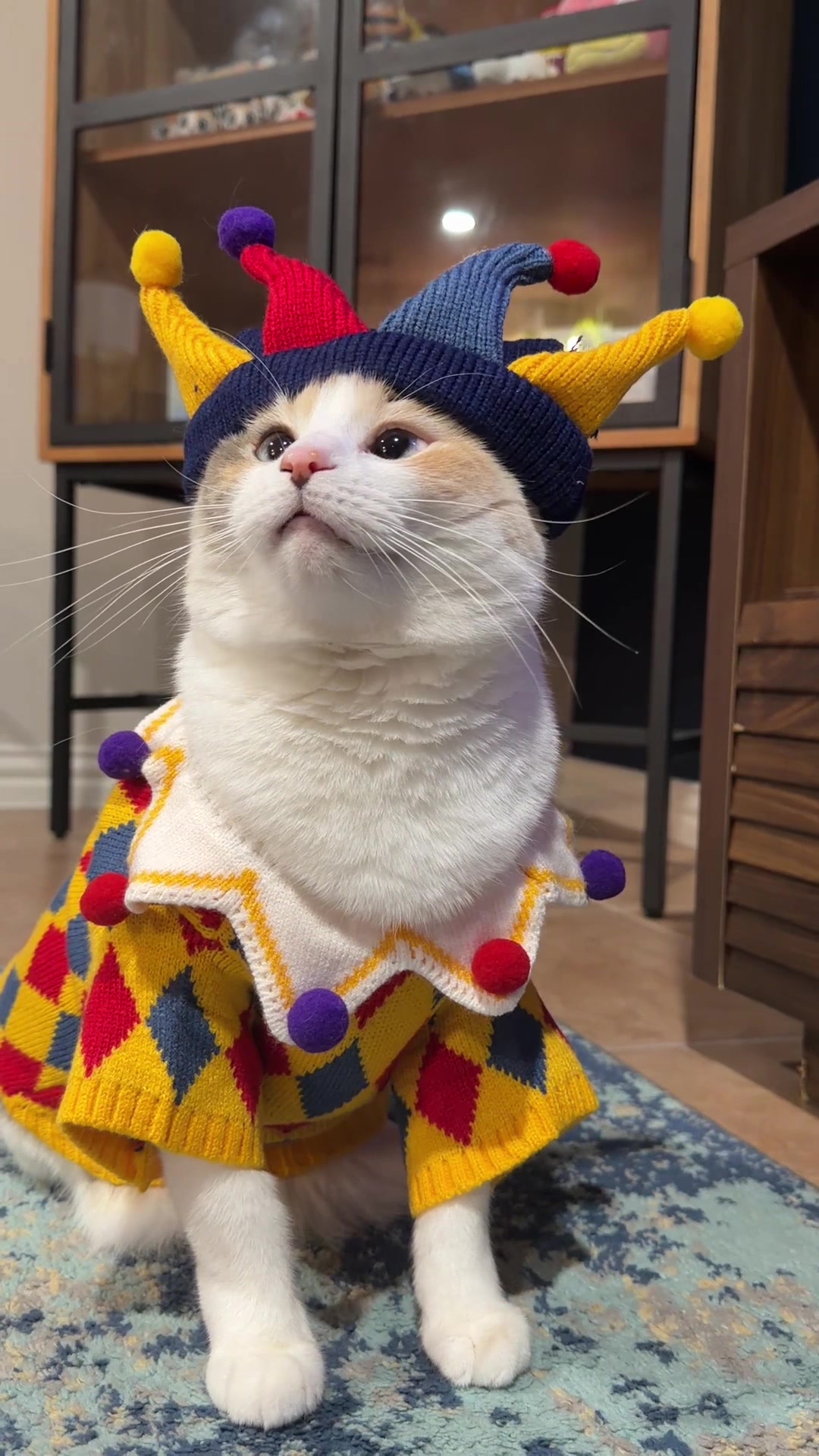 @Panko Cat