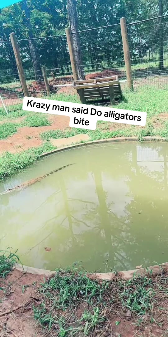 @RastaKountryDream