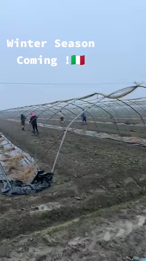 @علی جواد