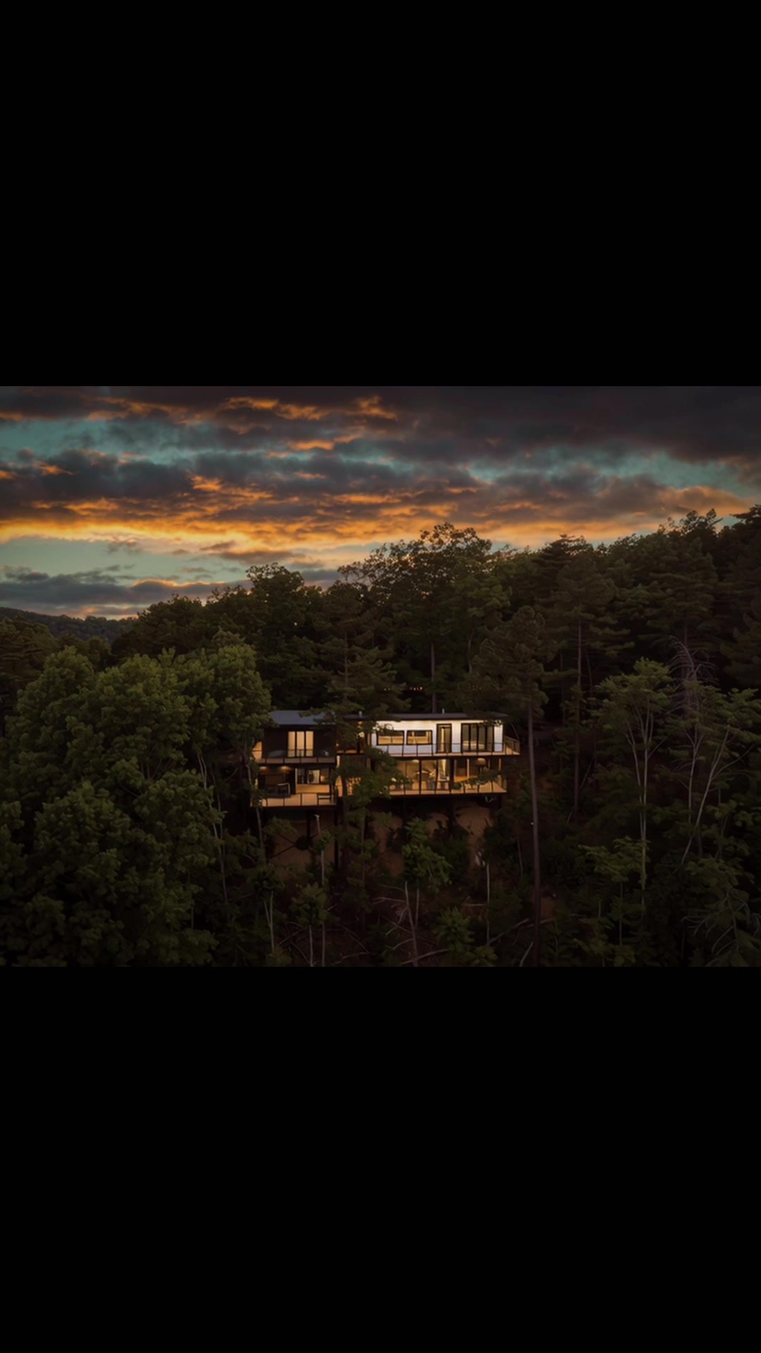 @The Treehouse Family