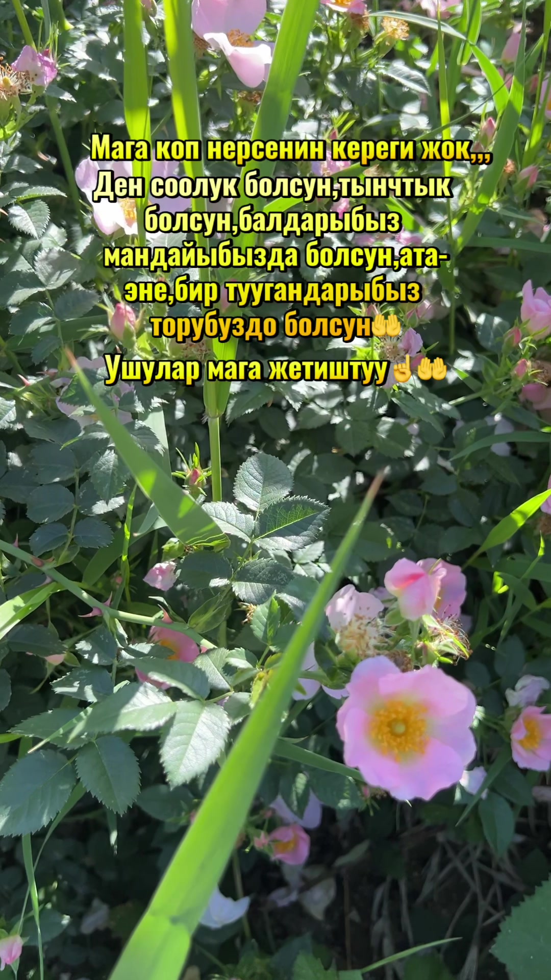 @💫💫ГУЛНАЗ 76💫💫