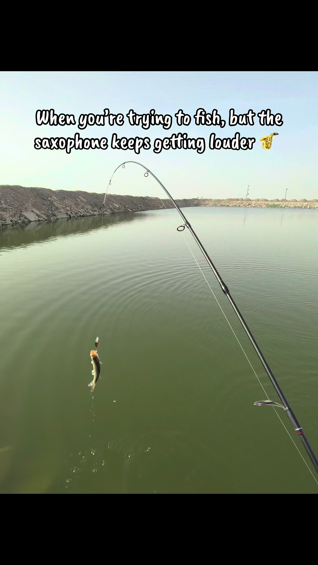 @Luu Nguyen Fishing