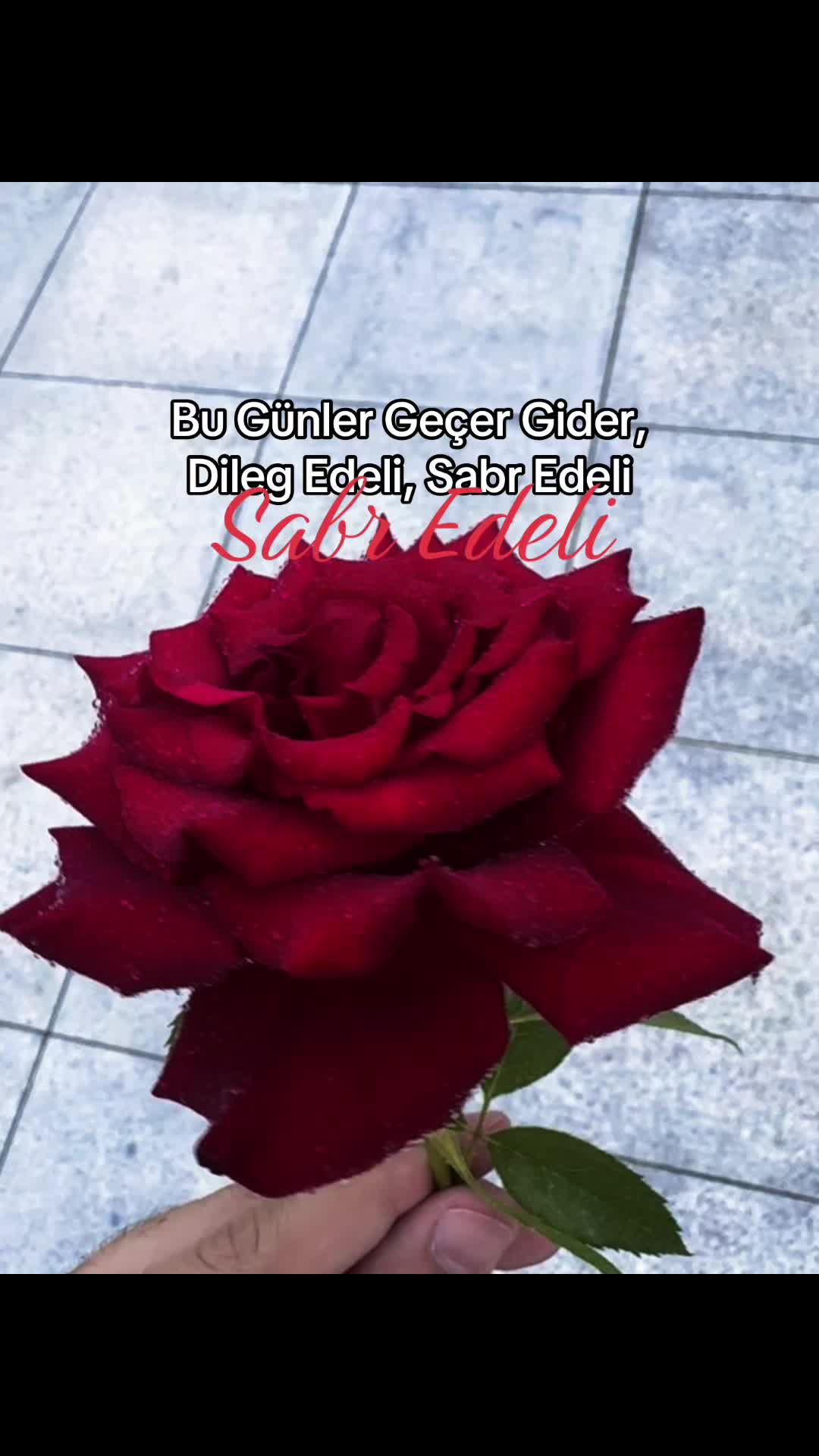 @&Yuml;unus 
