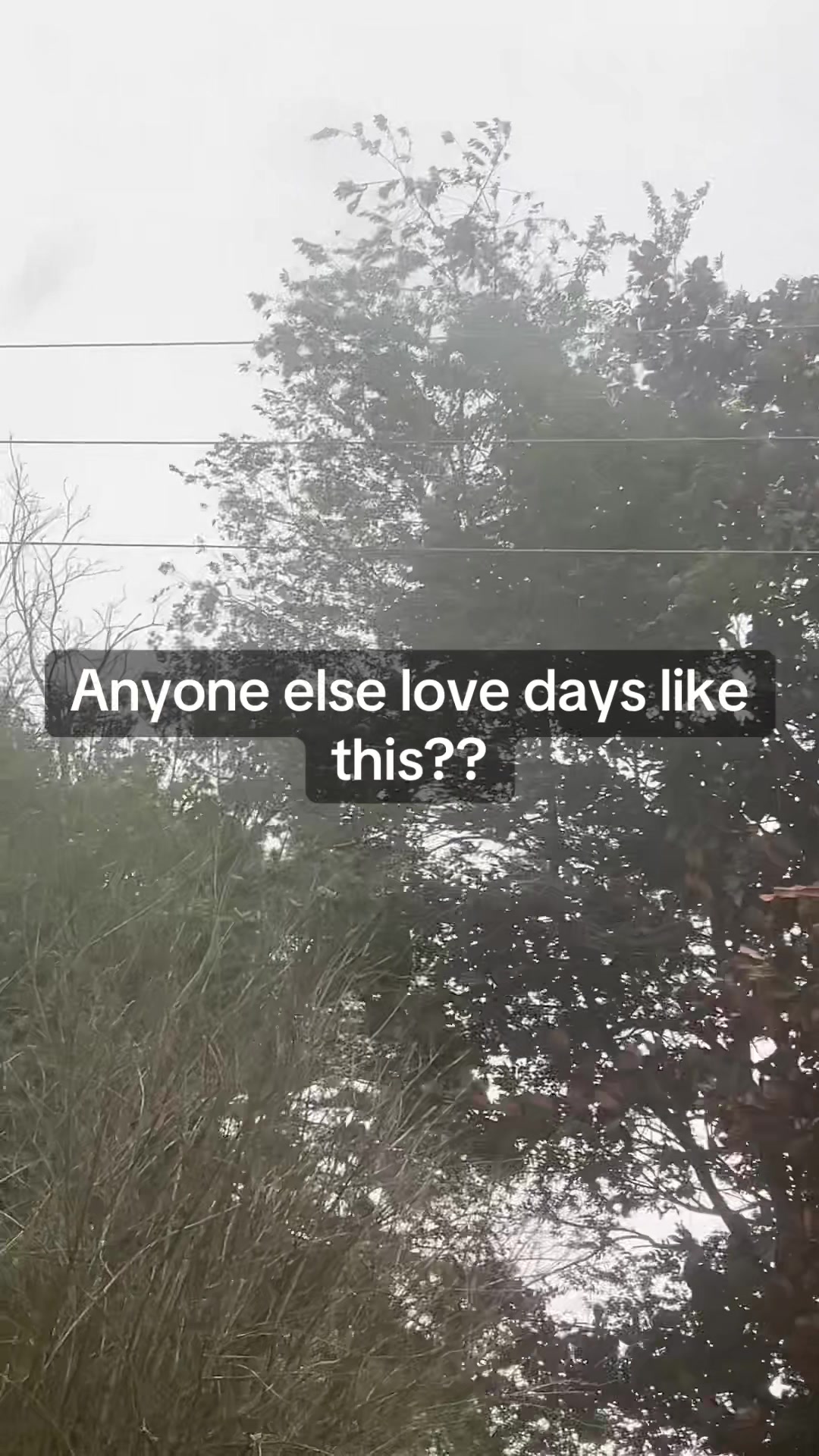 @chelsey.elizabeth2