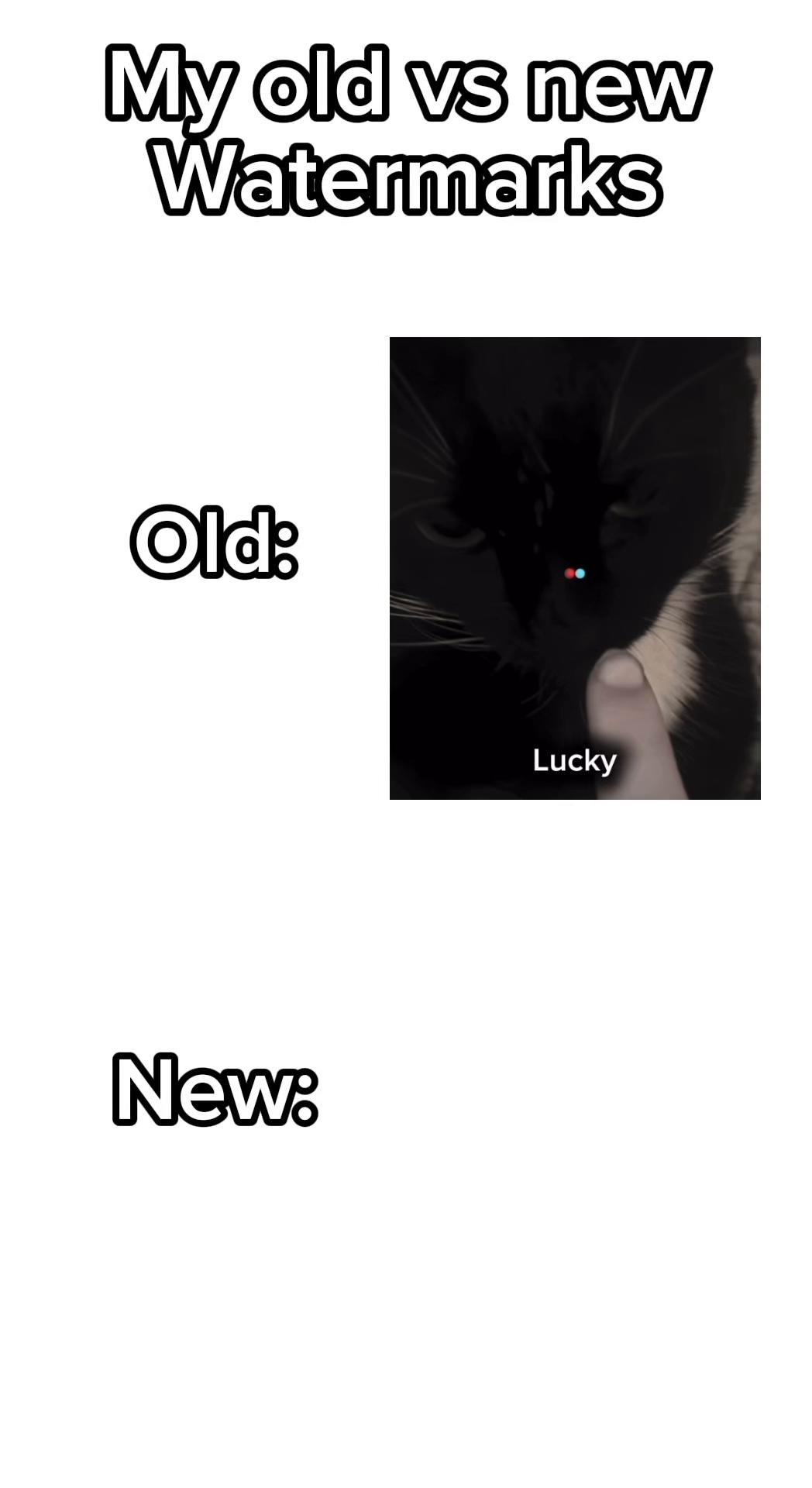 @Lucky