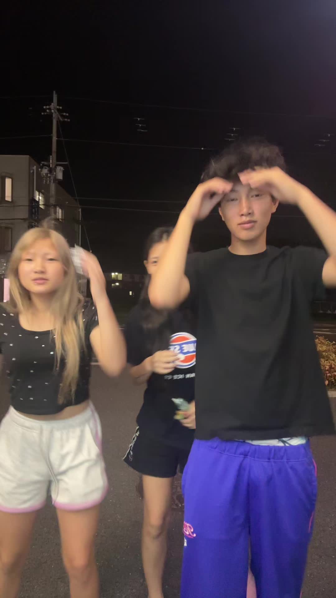 @北朝鮮dripです