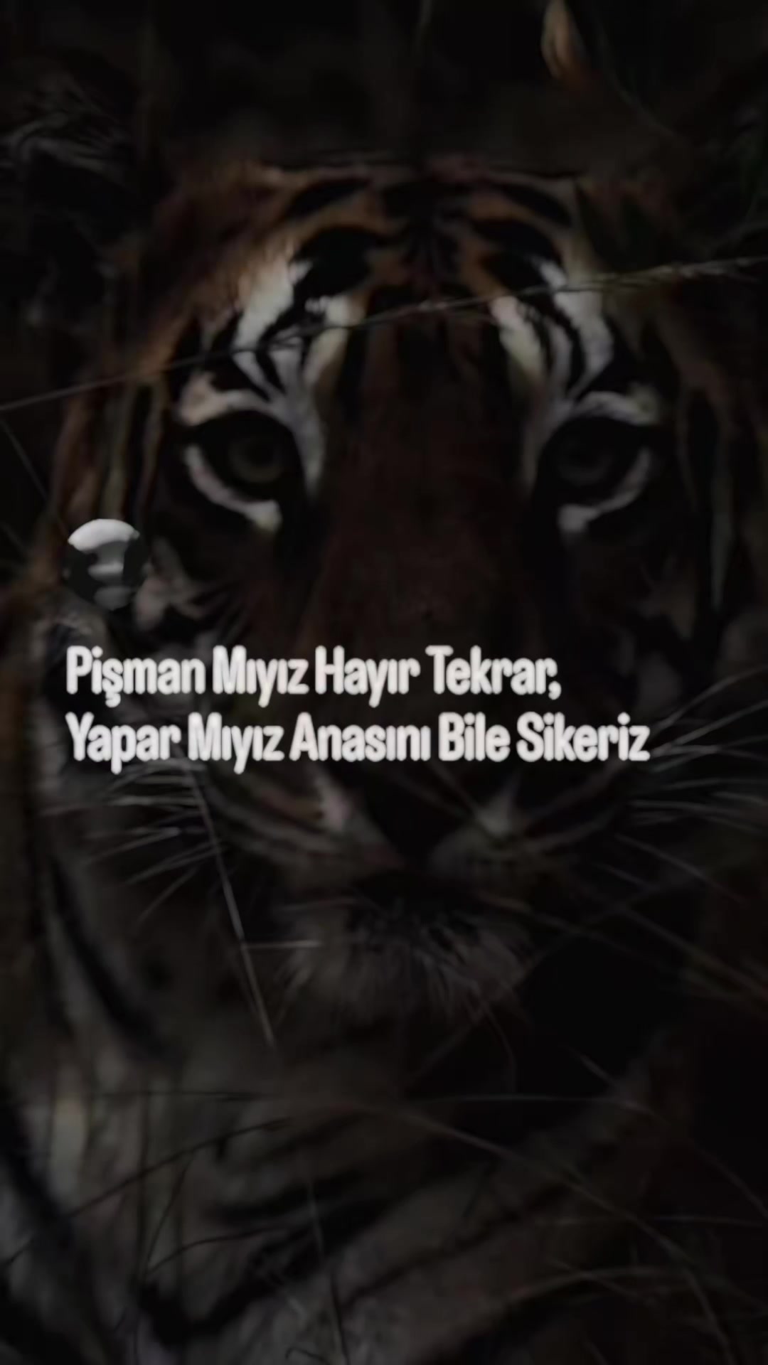 @💞BAŞ✌️BELASı💞