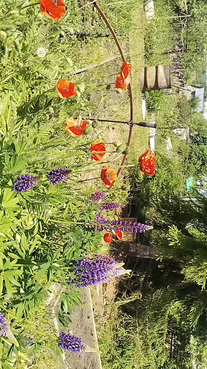 @варшко🦔🦔