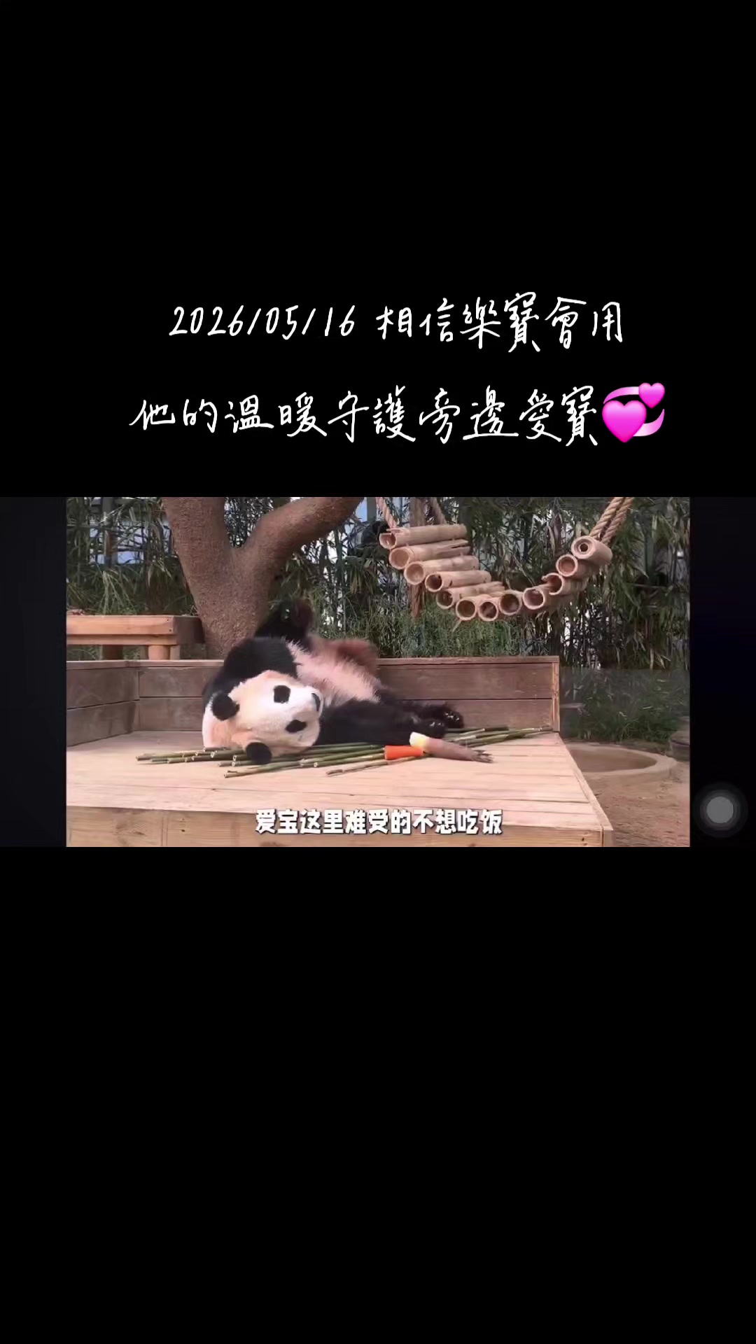 @福寶需要愛的抱抱