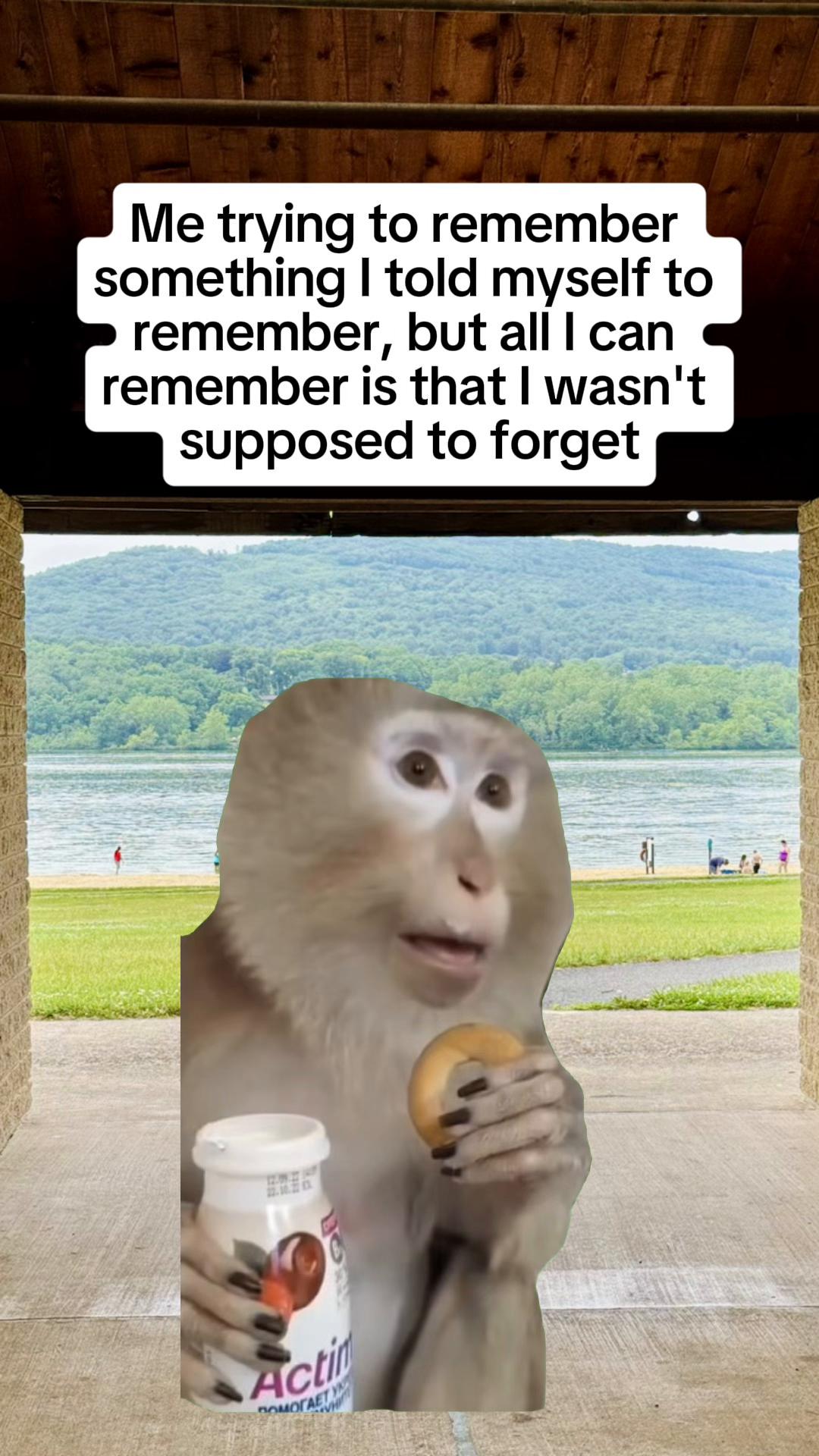 @Clett14