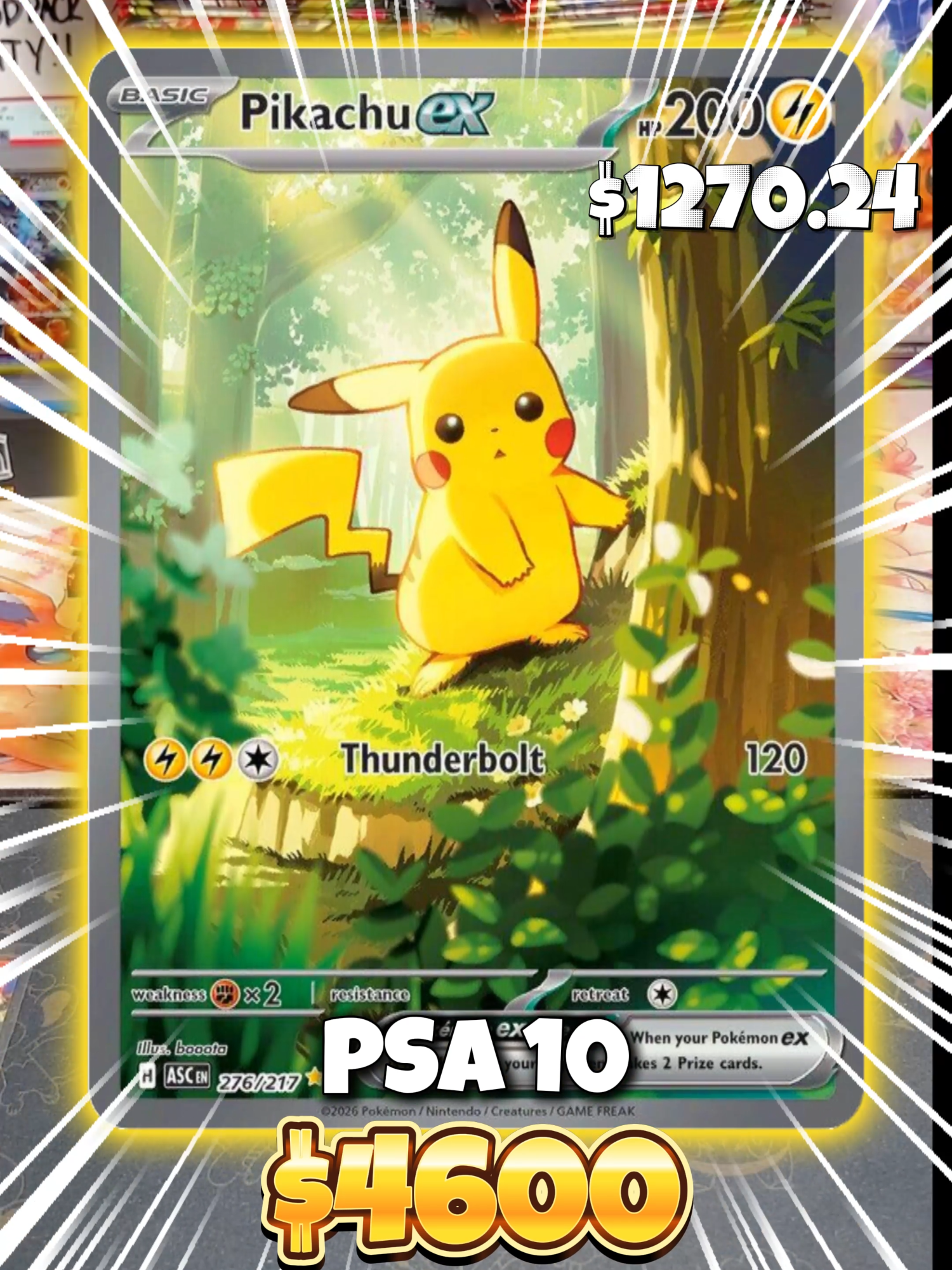 @Pack Palace