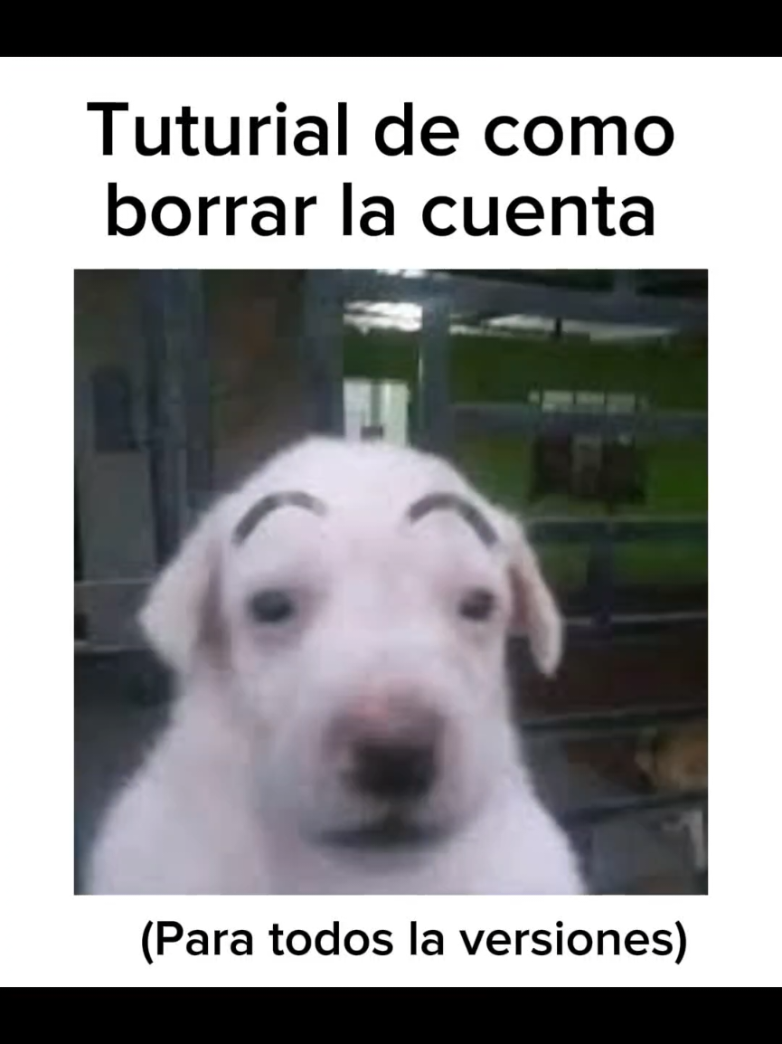 @Luisito