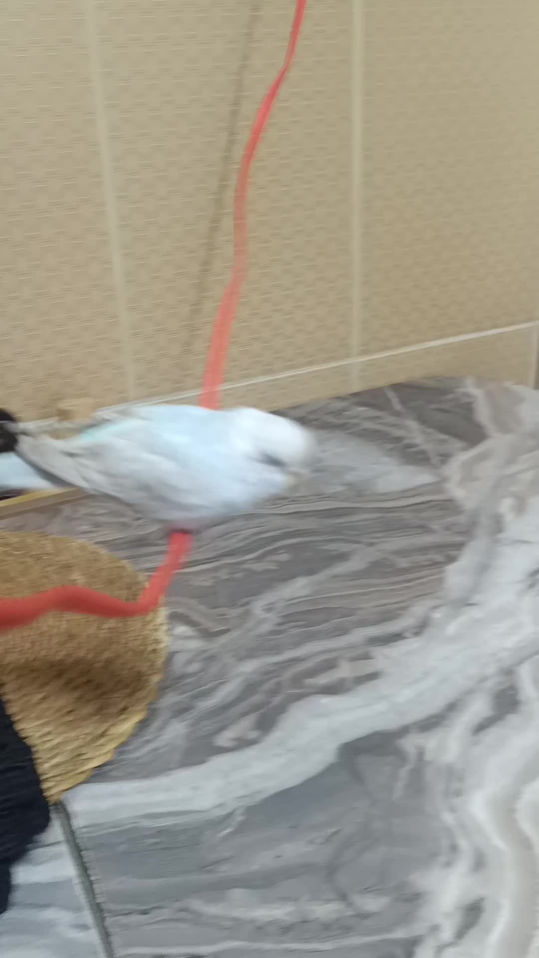 @🥰elişinin sultanı🥰