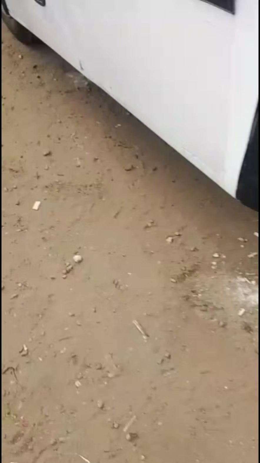 @Gustavo cordero