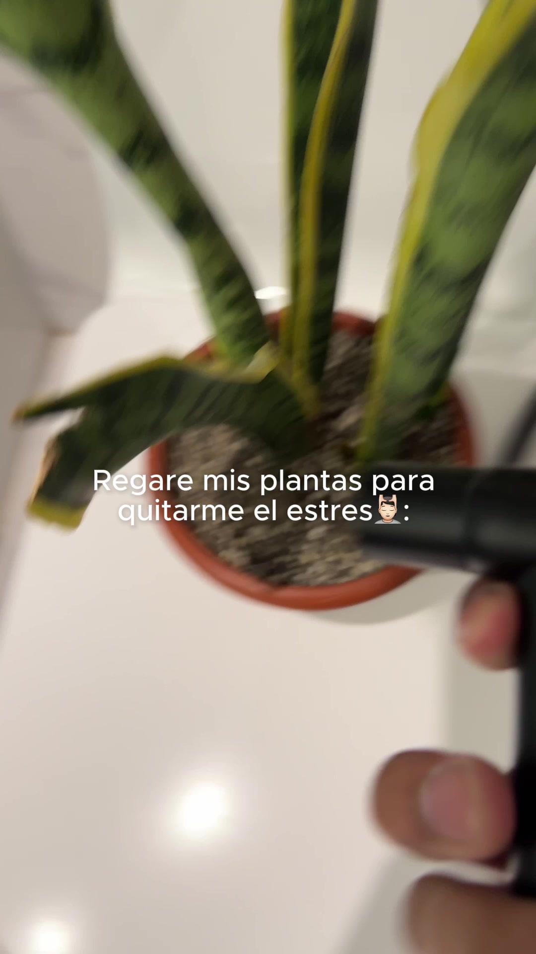 @Jasson Rojas