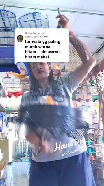 @bukogix