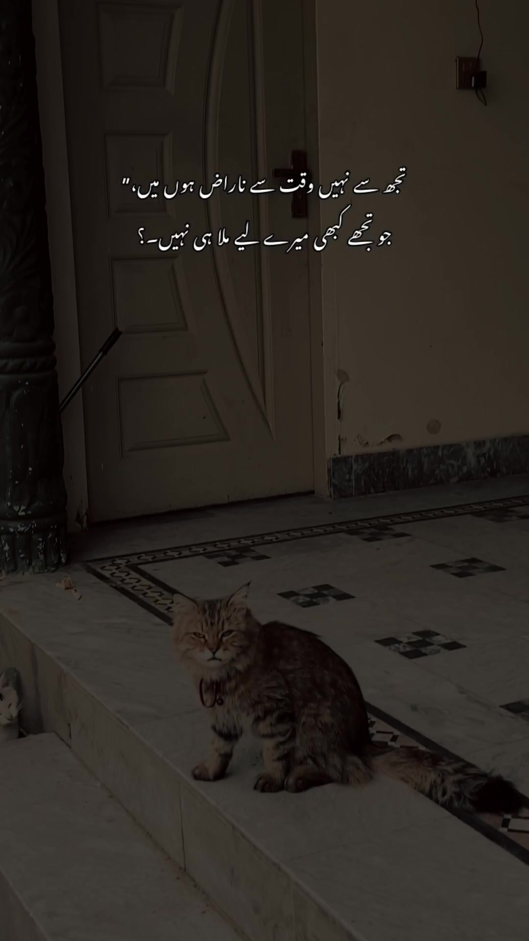 @>پاگل ہو <🦋
