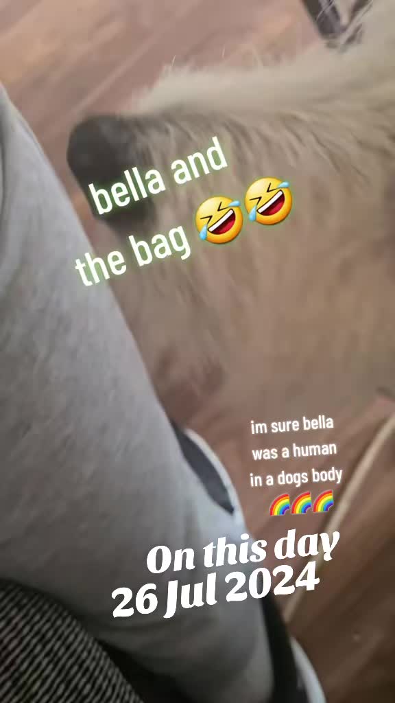 @claire🌈bellaBert Ernie💙Tonks