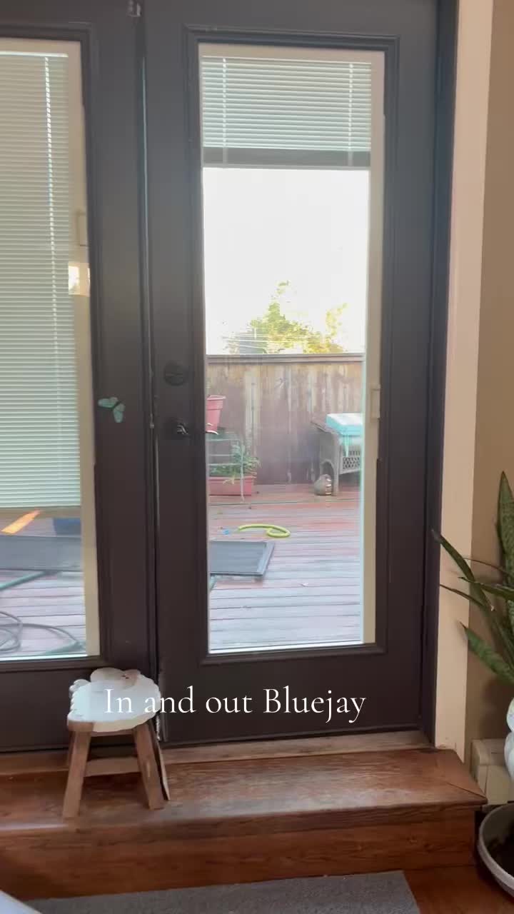 @Spleesha