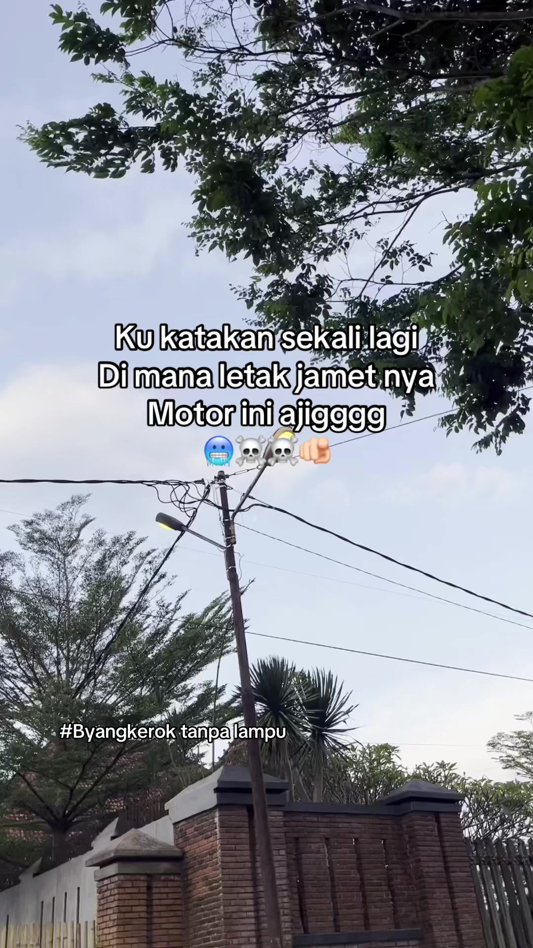 @Wa jisun