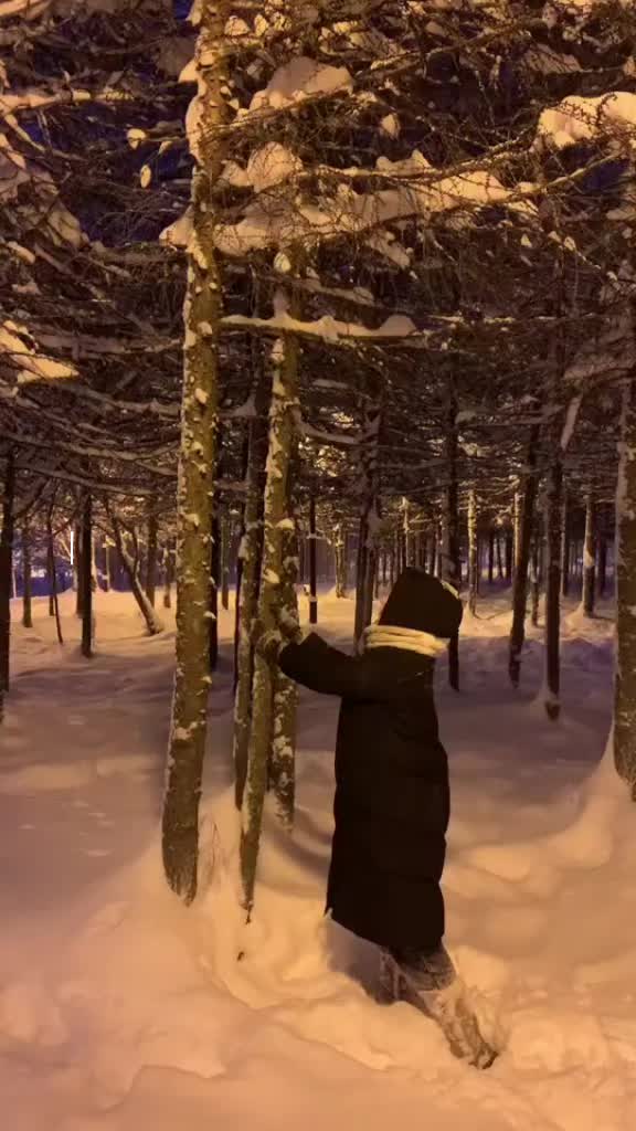 @❄️winter⛷️
