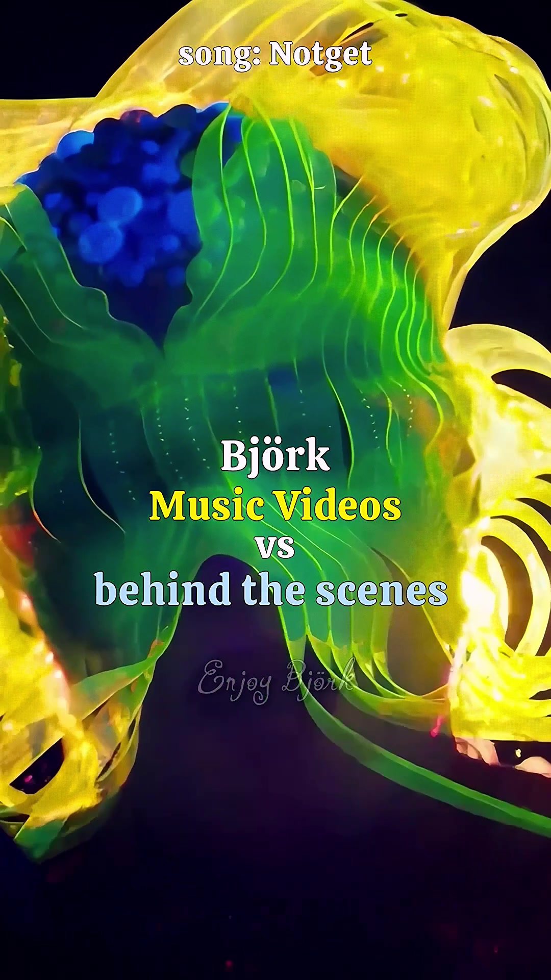 @Enjoy Bj&ouml;rk