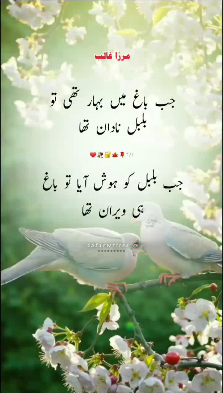 @️دیوانِ غالب 🖤