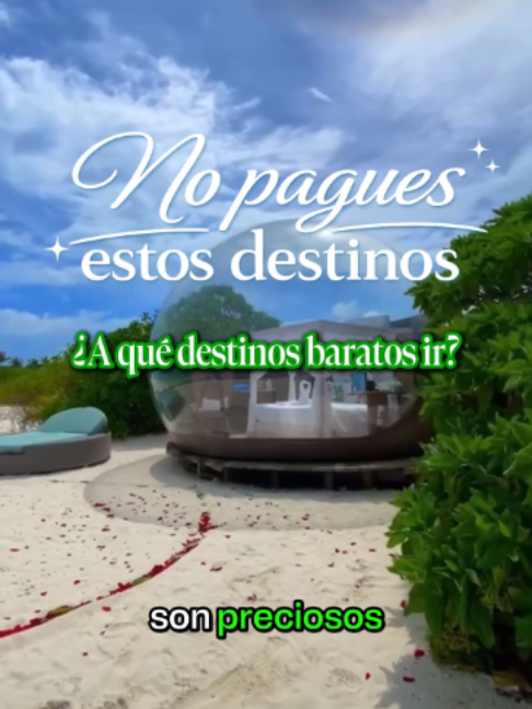 @TravelReportMX