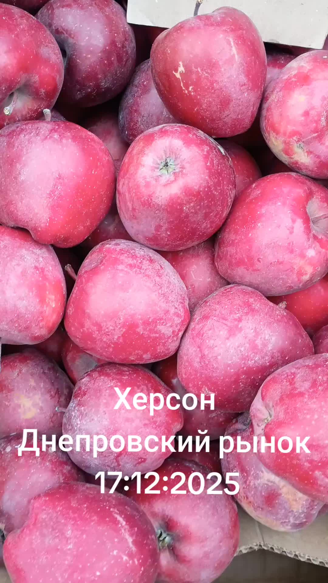 @IOSIF99999