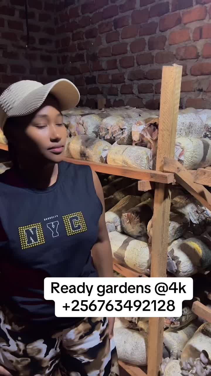 @Enjuba mushrooms