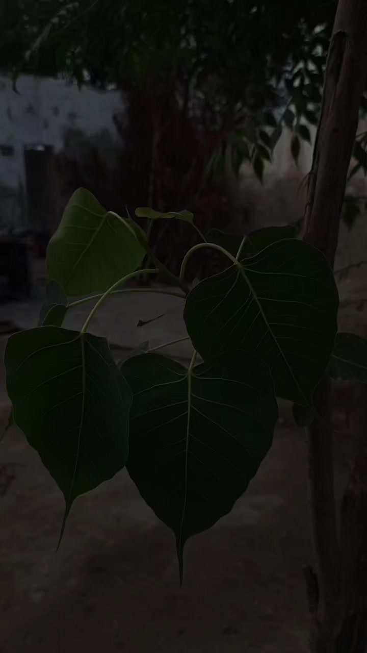 @𝑬 𝑴 𝑨 𝑵 ♥️