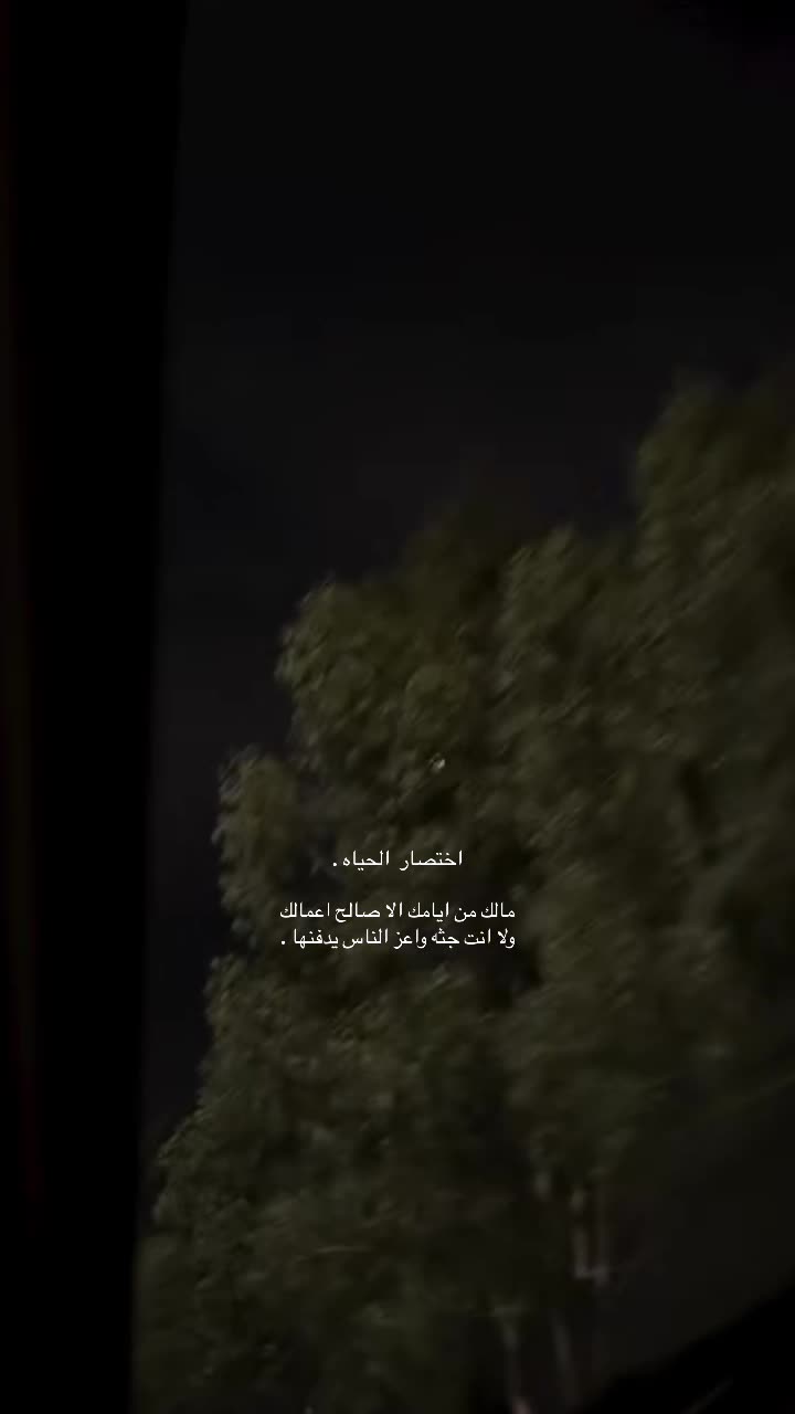 @𓃴 ୨ৎ