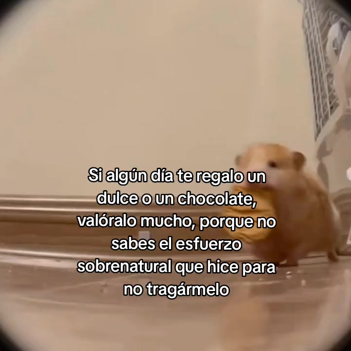 @goodvibessxd