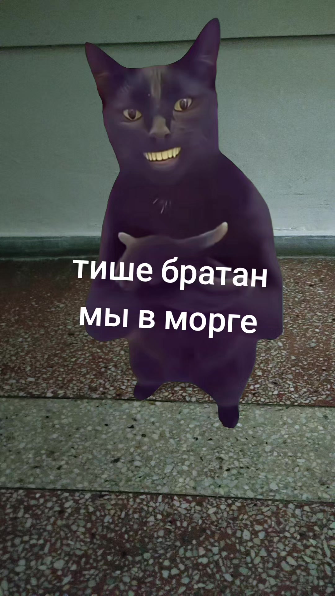@Gamer452