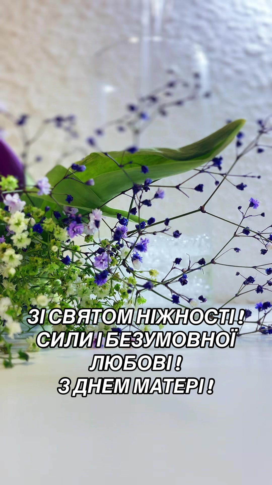 @yanochka12