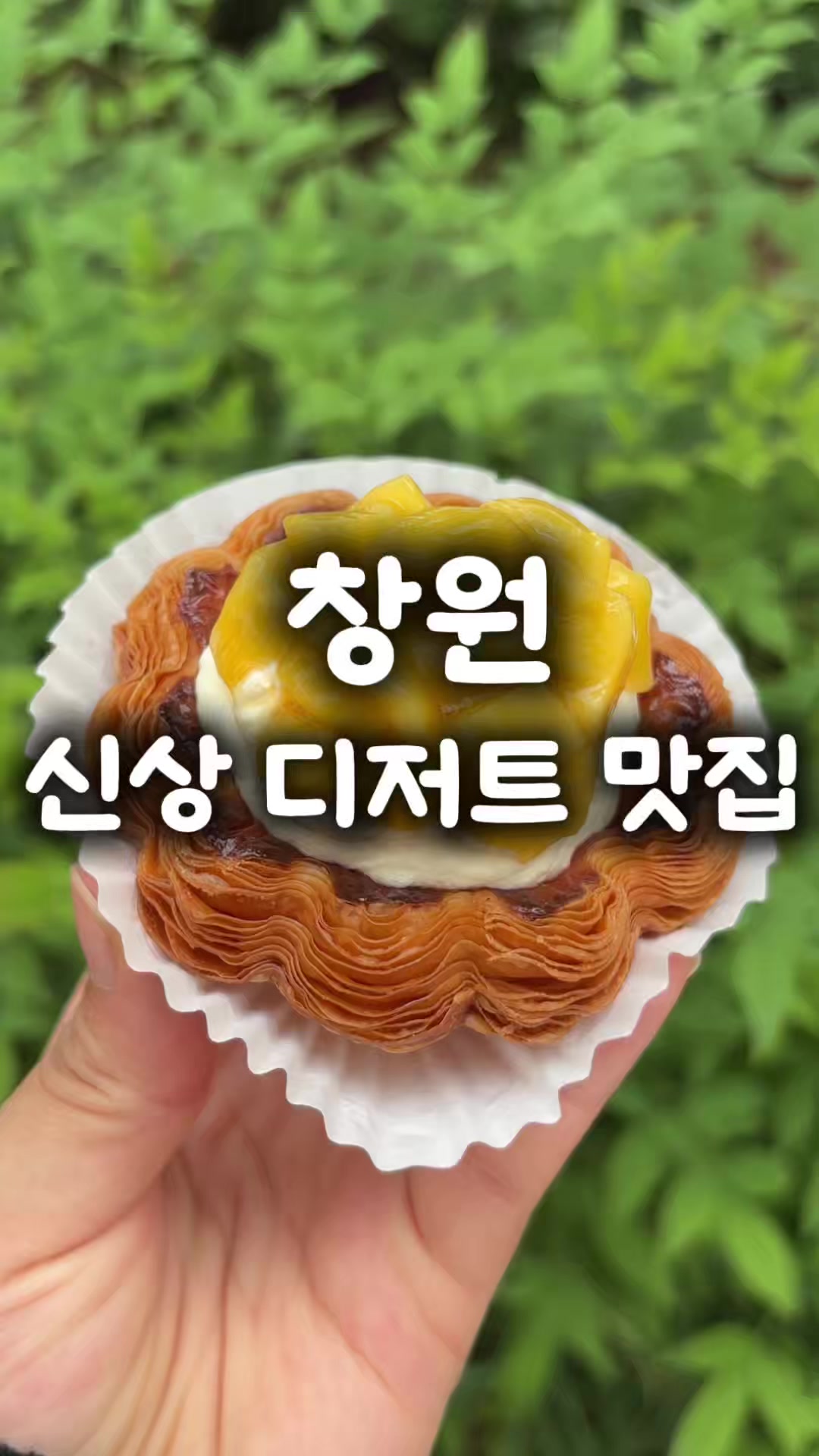 @창원 미도리