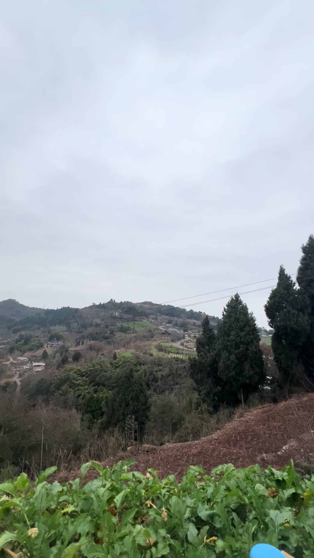 @Yu