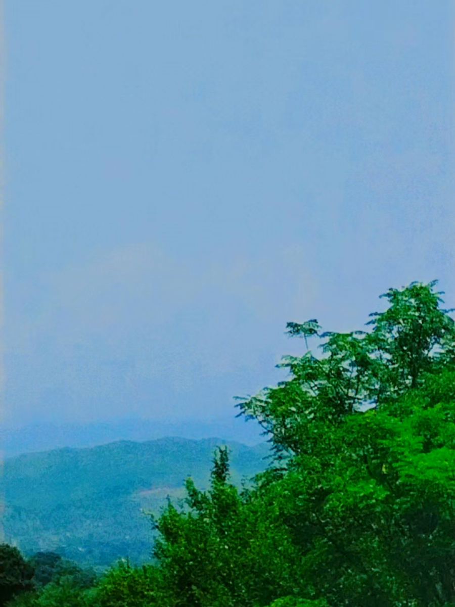 @🍁 amjad Kashmiri 🍁