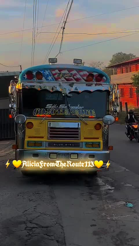 @๐ฆ๐AliciaTours๐๐ฆ