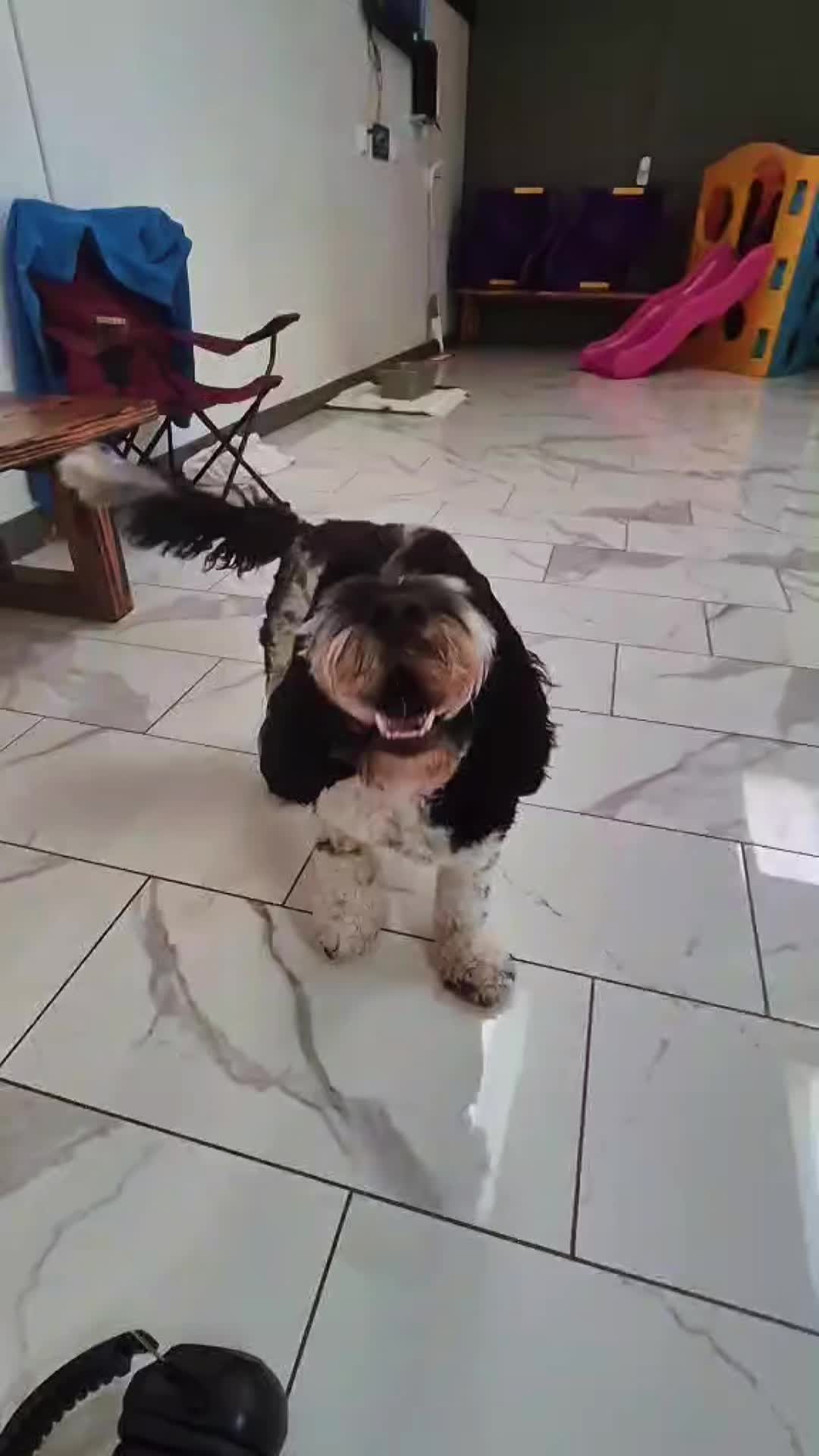@The_BeautyBark