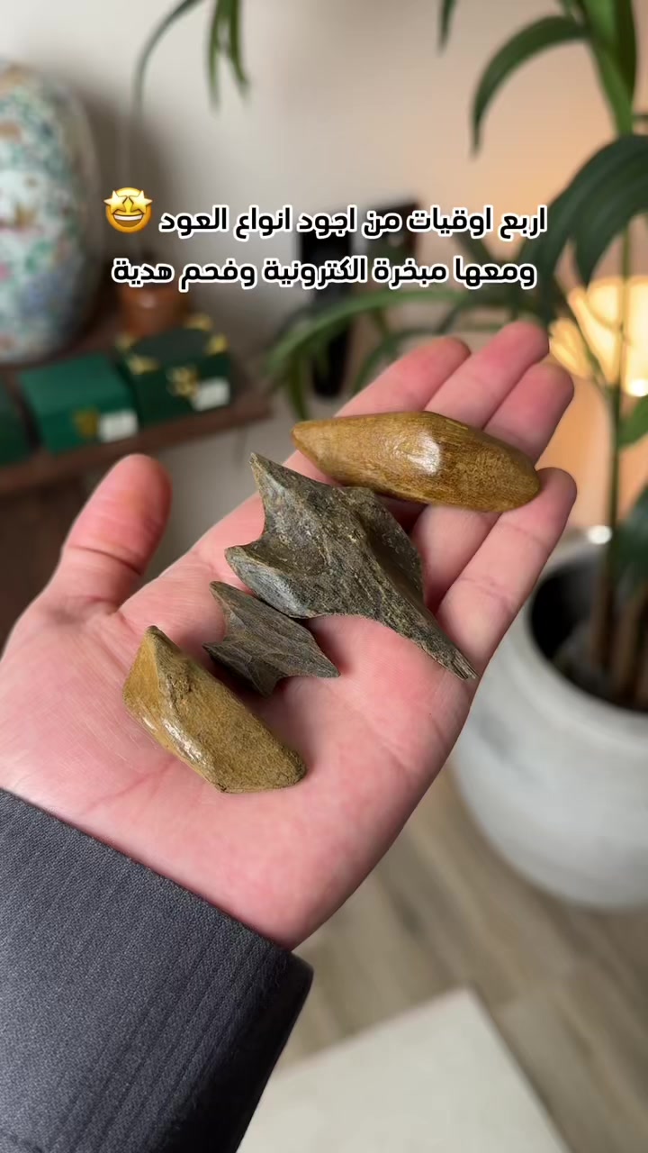 @تغطيات | عبود 🤳