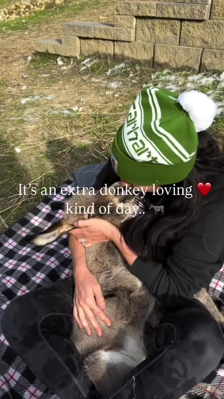 @Hidden Acres Animal Sanctuary