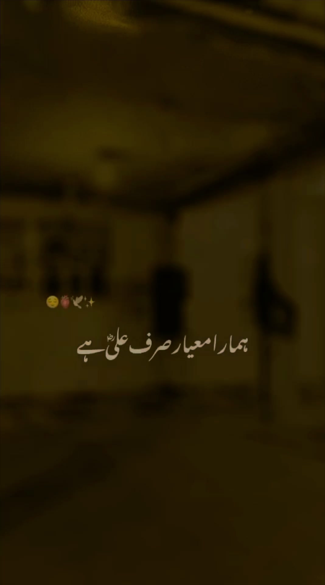 @New Shaheen 266