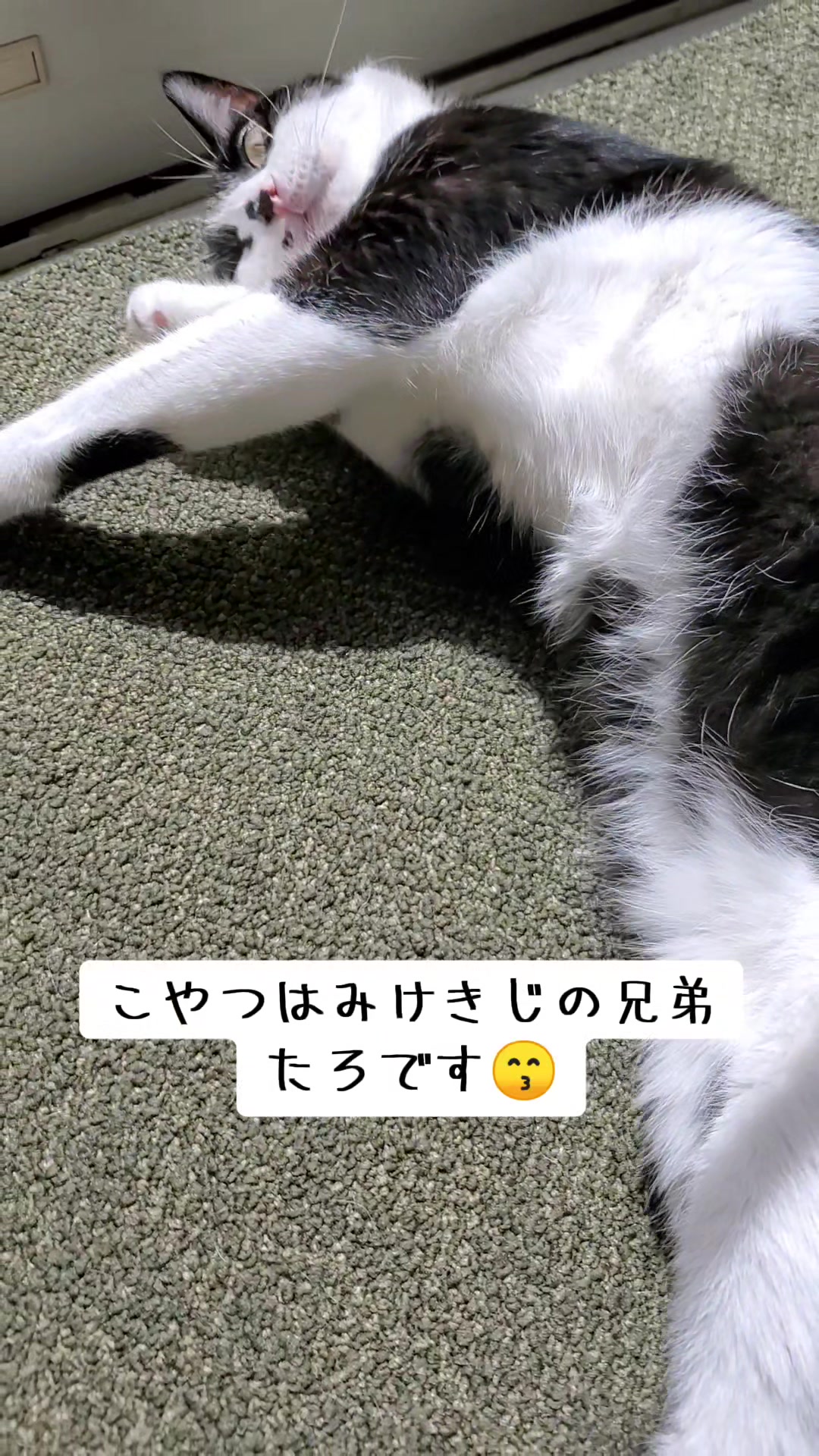 @😻kazuki😻
