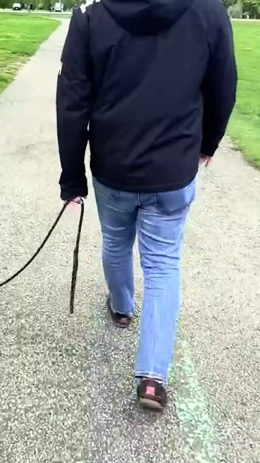 @Miracle K9 Training