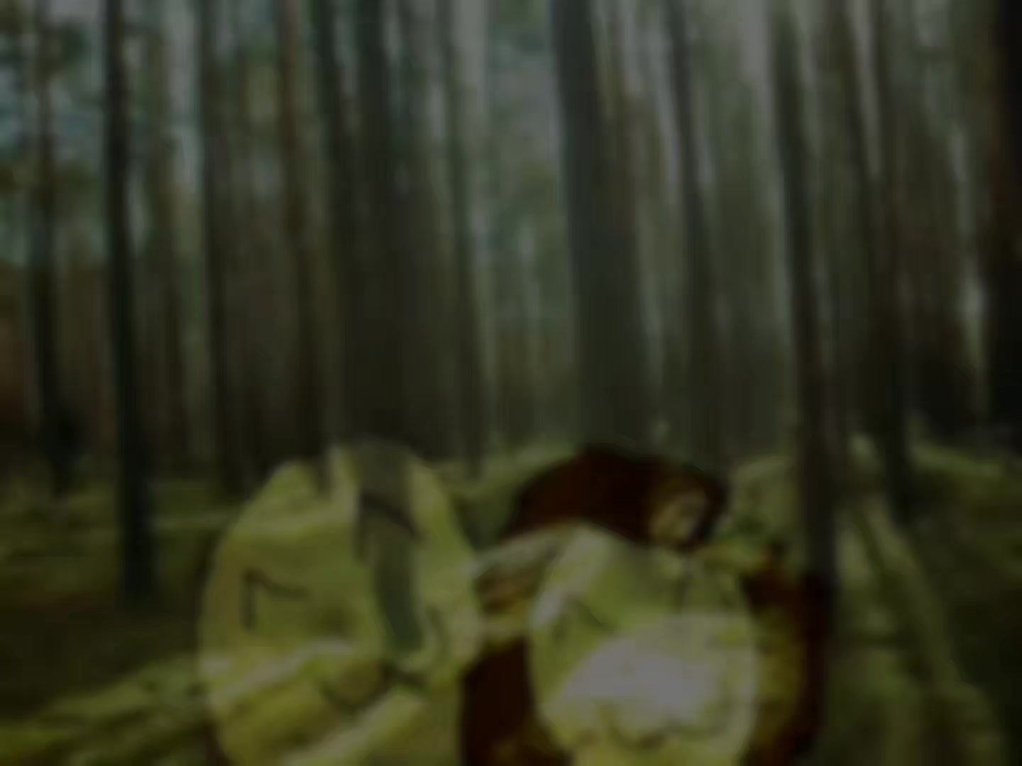 @Ო-ႱyჁic  ᥫ᭡