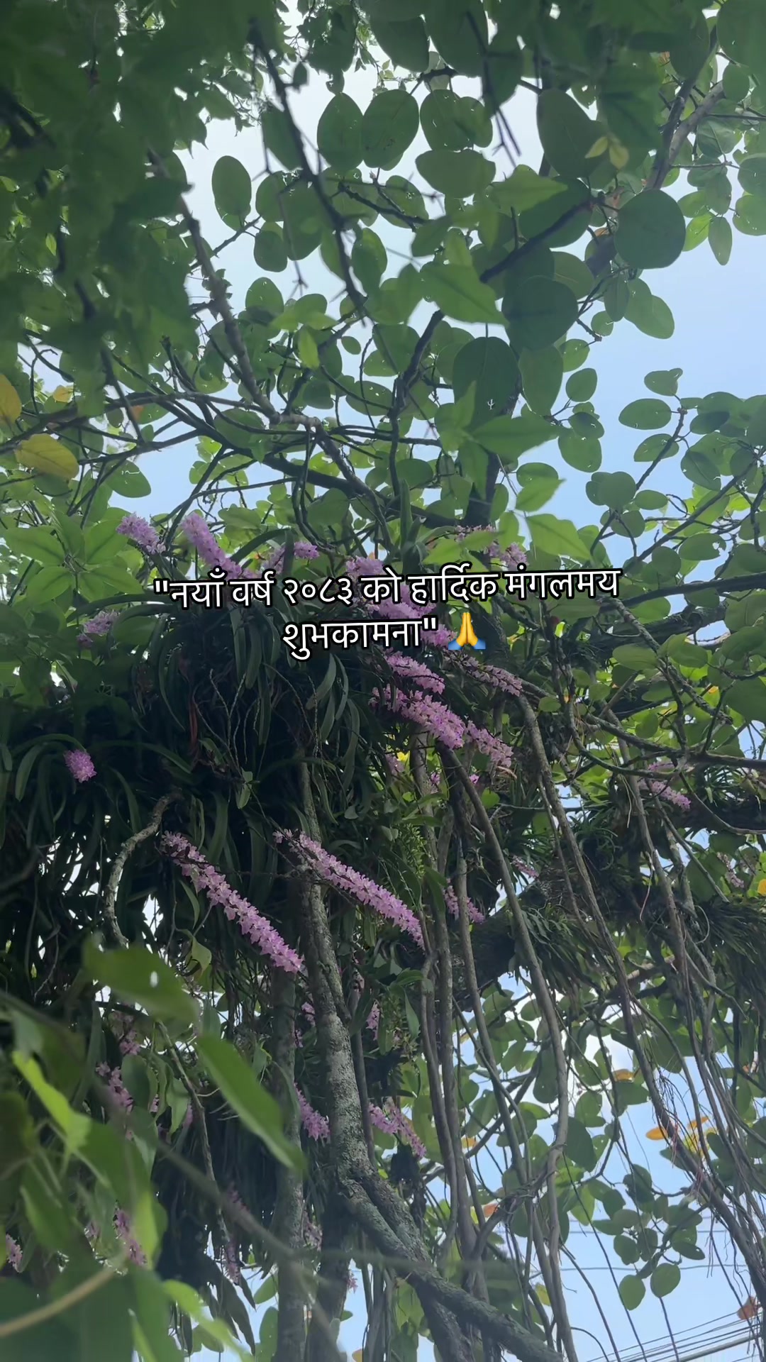 @sunu_reg12