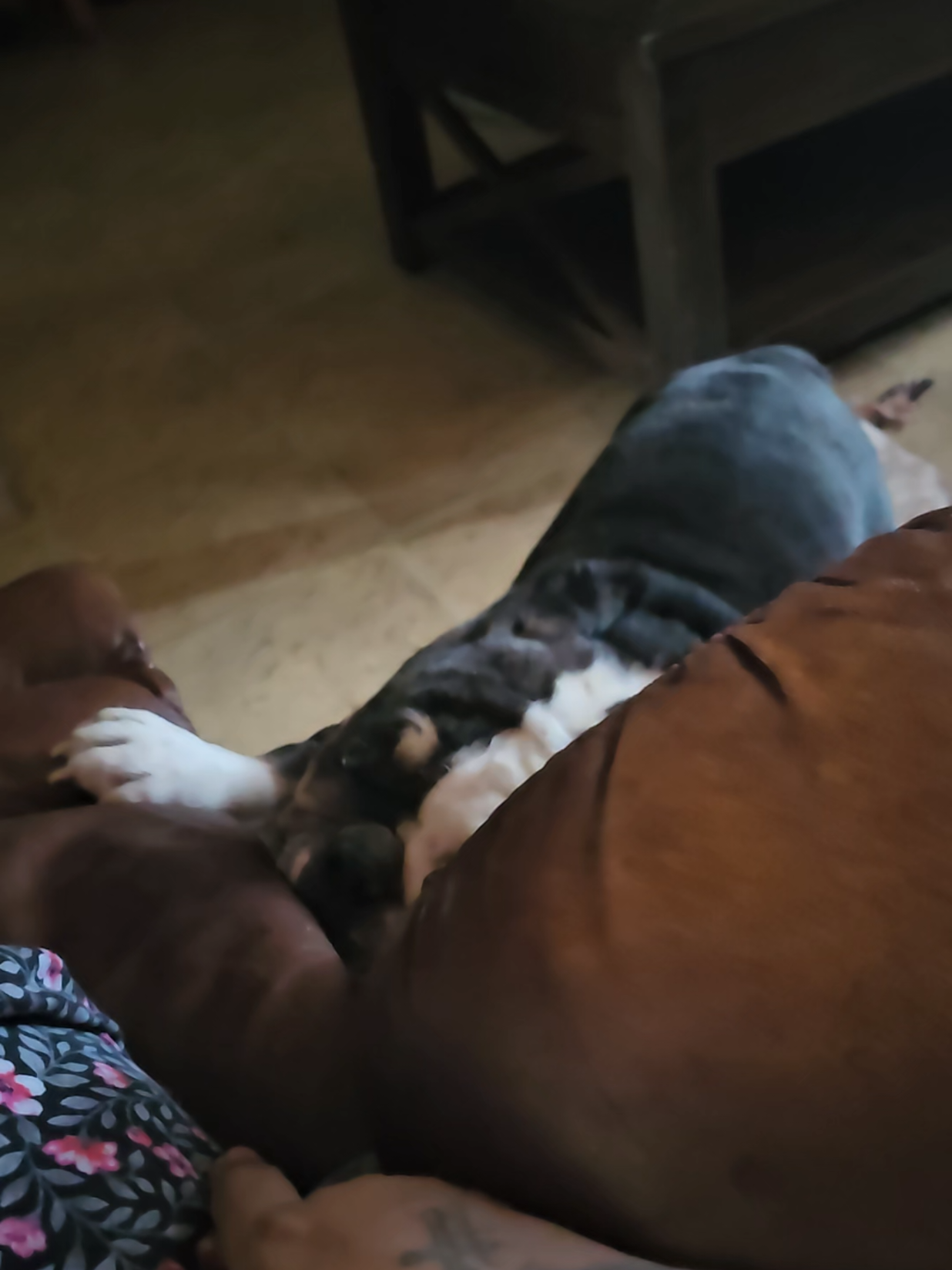 @Sonia&Rosieroo♥️🐾