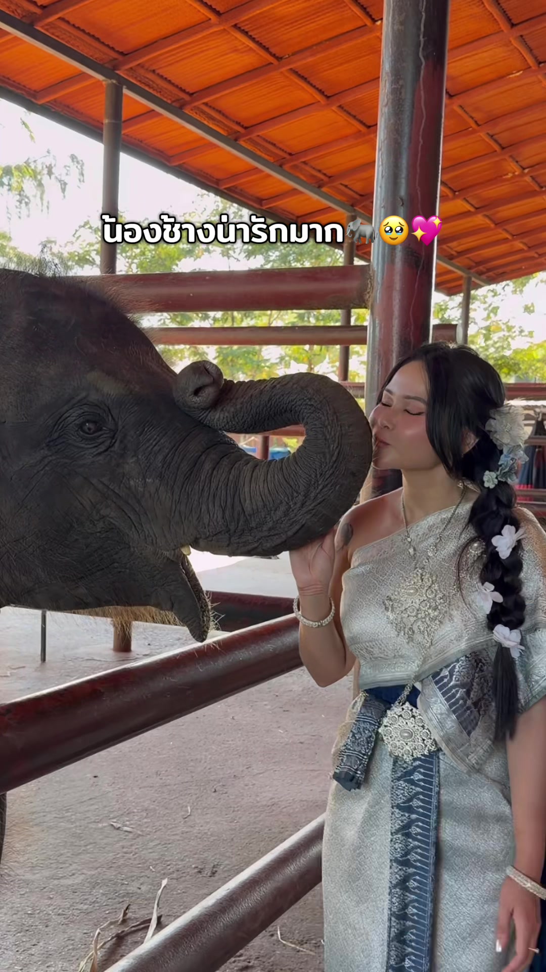 @Araya🦋หนู